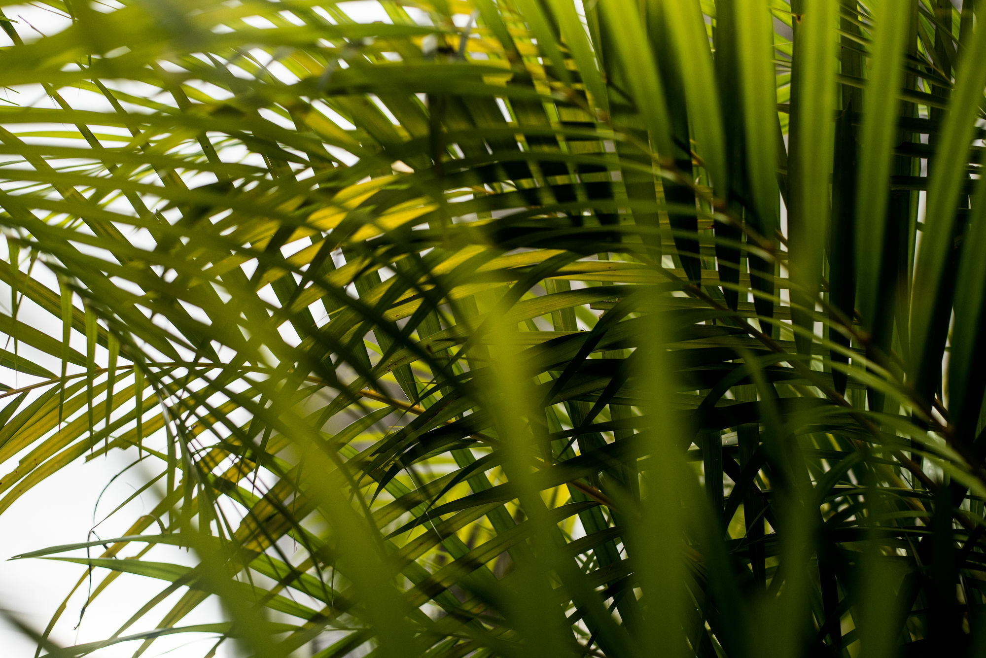 Qué Chévere Rincón Exterior foto