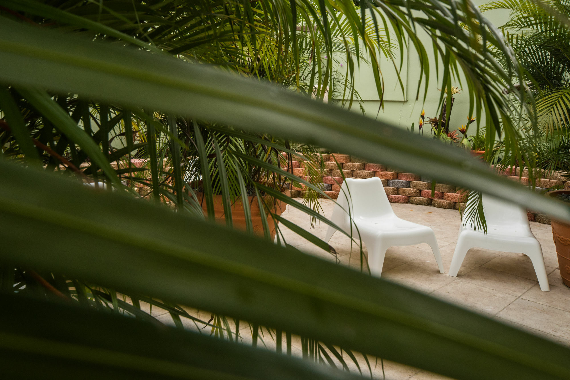 Qué Chévere Rincón Exterior foto